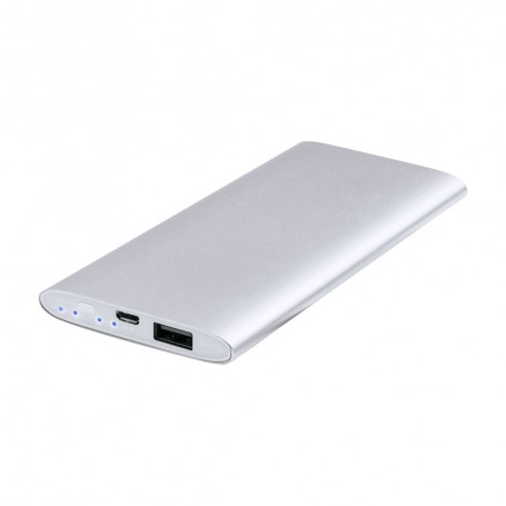 Wilkes USB Power Bank
