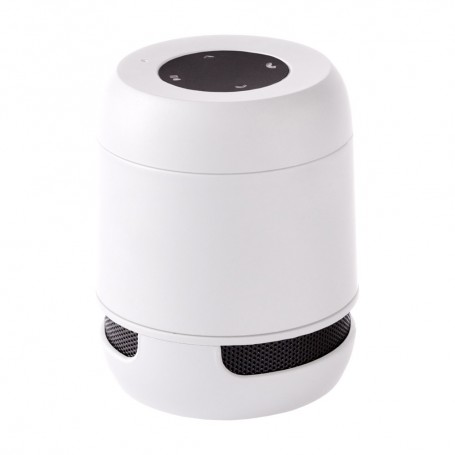 Braiss Bluetooth Speaker
