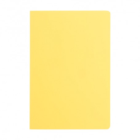 Dienel Notizbuch
