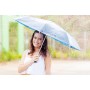 Mint Regenschirm