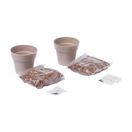 Nertel Pflanz-Set