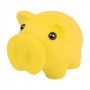 Donax Piggy Bank