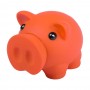 Donax Piggy Bank
