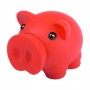 Donax Sparschwein