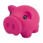 Donax Piggy Bank