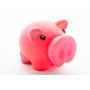 Donax Piggy Bank