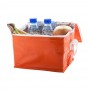 Coolcan Cooler Bag