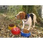 Puppy Dog Bowl