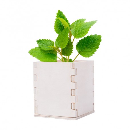 Merin Blumentopf
