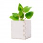 Merin Blumentopf