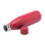 Rextan sport bottle