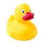 Koldy rubber duck