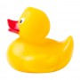 Koldy rubber duck