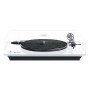 Omega 100 RIAA Bluetooth